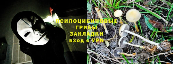 прущие крисы Алзамай
