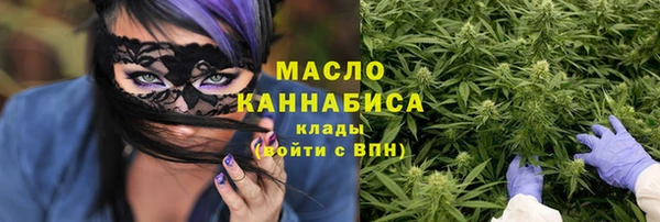 мдпв Михайлов